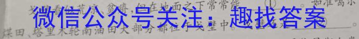 陕西省2023年八年级期中教学质量检测（23-CZ162b）语文