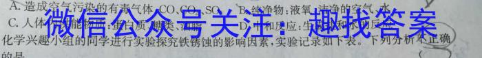 陕西省2022-2023学年汉阴县八年级期中学科素养检测(23-CZ201b)化学