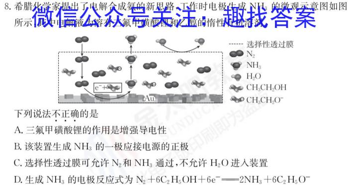 2023年4月湖湘教育三新探索协作体高一期中联考化学