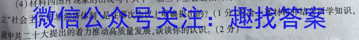 2024届四川大联考高二年级4月联考政治s