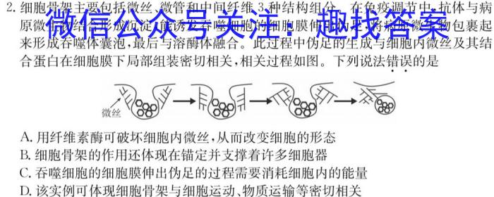 湖北省六校2024-2023学年下学期高二期中考试生物