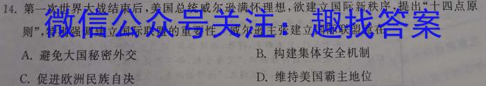 山西省2022~2023学年八年级下学期期中综合评估(23-CZ190b)历史