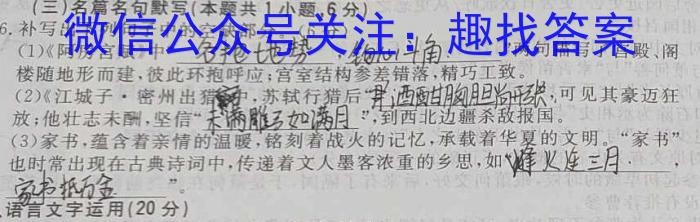 安徽省六安市2022-2023学年度第二学期八年级期中质量调研语文