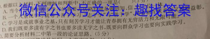 华师—附中 2023年普通高等学校招生全国统一考试 名校联盟·压轴卷(一)语文