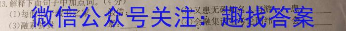 京师AI联考2023届高三质量联合测评全国乙卷(二)语文