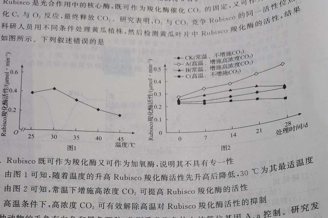 [保定一模]保定市2023年高三第一次模拟考试生物
