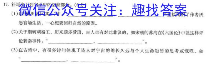 2023衡水金卷先享题压轴卷答案 新高考B一语文