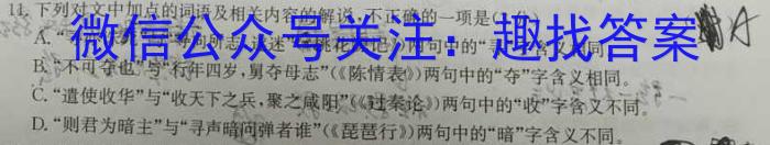 2023年普通高等学校招生全国统一考试信息模拟测试卷(新高考)(四)语文