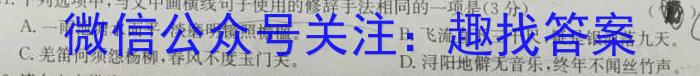 江西省2023年九年级模拟四语文