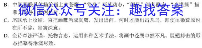 2023届全国普通高等学校招生统一考试JY高三终极一考卷(二)语文