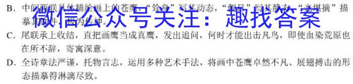 2023年普通高等学校招生全国统一考试(银川一中第二次模拟考试)语文