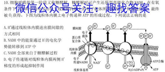 超级全能生2023高考卷地区高三年级4月联考（LL）生物试卷答案