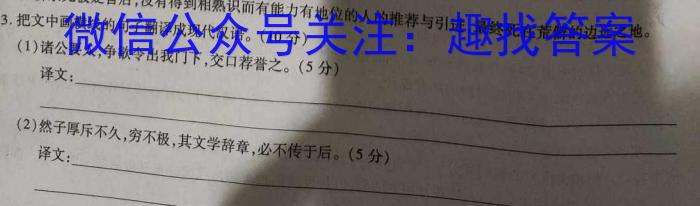 金考卷2023年普通高等学校招生全国统一考试 新高考卷 押题卷(一)语文