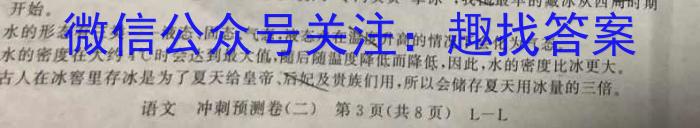 2023年普通高等学校招生全国统一考试信息模拟测试卷(新高考)(六)语文