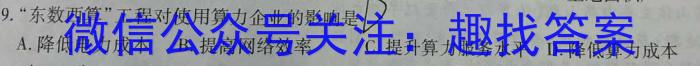 江西省吉安市十校联盟2022-2023学年九年级第二学期期中联考地理.