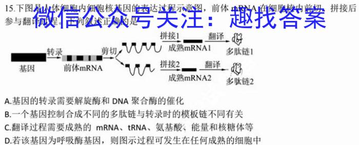 景德镇市2023届高三第三次质量检测(4月)生物