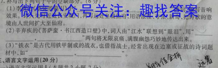 ［卓育云］2022-2023中考学科素养自主测评卷（六）语文