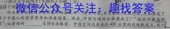 师大名师金卷2023年陕西省初中学业水平考试（三）语文