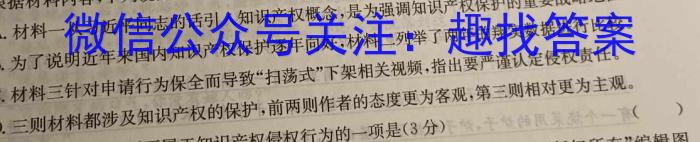 2023届九师联盟高三年级4月质量检测（新高考-河北）语文