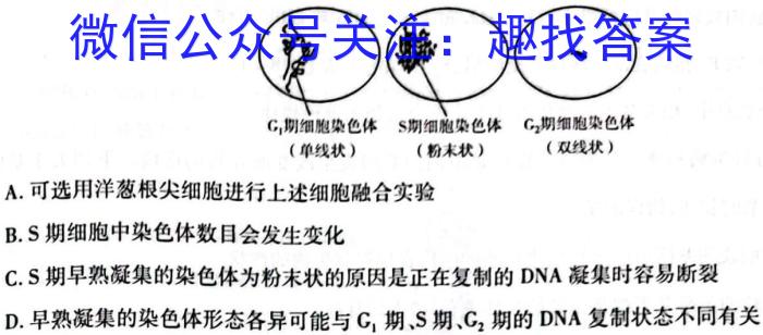 山西省晋城市2024届高二4月期中考试生物