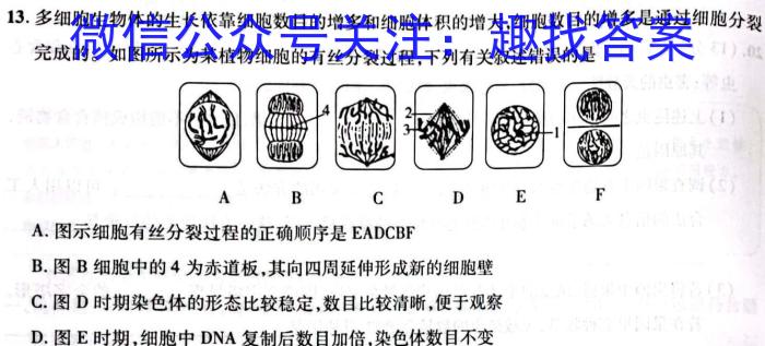 天一大联考 2023年高考全真冲刺卷(三)(四)生物