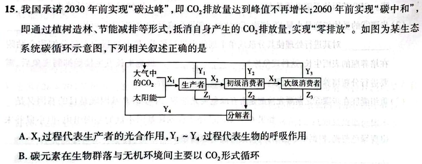 023年西南名校联盟模拟卷