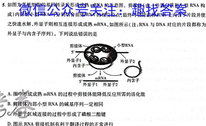 2023合肥市二模高三4月联考生物