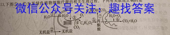 安徽鼎尖教育2023届高二4月期中考试生物试卷答案