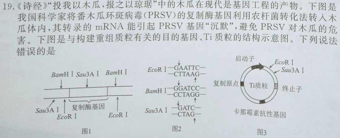 学普试卷2023届高三第十二次·新高考模拟卷(十二)生物
