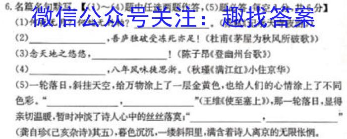 快乐考生 2023届双考信息卷·第八辑 锁定高考 冲刺卷(一)语文