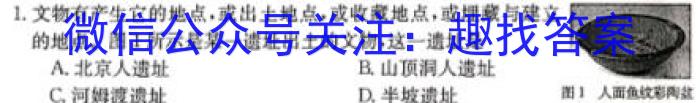 衡水金卷先享题压轴卷2023答案 新教材B二历史