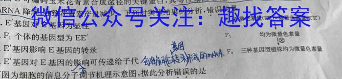 龙岩市一级校联盟2024-2023学年高一年级第二学期半期考联考(23-385A)生物