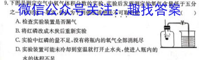 2023年湖南省普通高中学业水平合格性考试高一仿真试卷(专家版五)化学