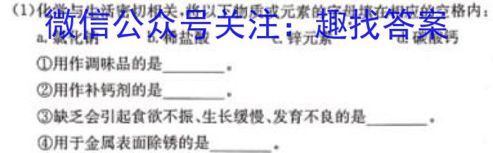 陕西学林教育 2022~2023学年度第二学期七年级期中教学检测试题(卷)化学