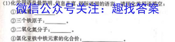 2023届中考导航总复习·模拟·冲刺卷(二)2化学