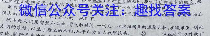 2023年普通高等学校招生全国统一考试信息模拟测试卷(新高考)(三)语文