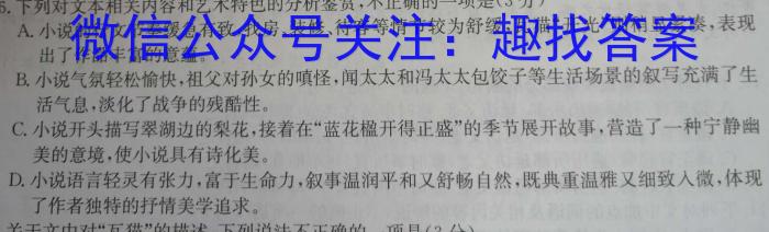 2023年银川一中、昆明一中高三联合考试二模(5月)语文