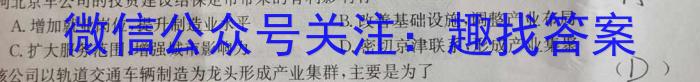 2023普通高校招生全国统一考试·全真冲刺卷(四)地理.