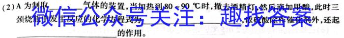 陕西省2023年普通高等学校招生全国统一考试 模拟测试(正方形包黑色菱形)化学