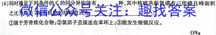 安徽省利辛县2023年九年级4月联考化学