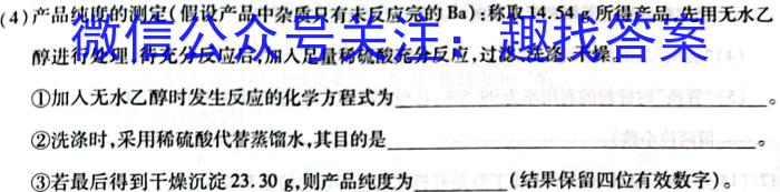 河南省2023年中招九年级适应性测试（二）化学