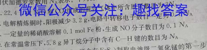 2023年湖南省普通高中学业水平合格性考试仿真试卷(专家版四)化学