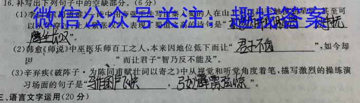 安徽省2023年八年级阶段性质量评估检测卷语文