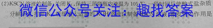 陕西省2023年初中学业水平考试模拟试题（二）化学