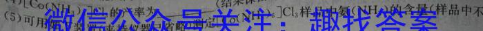 金考卷2023年普通高等学校招生全国统一考试 新高考卷 押题卷(一)化学