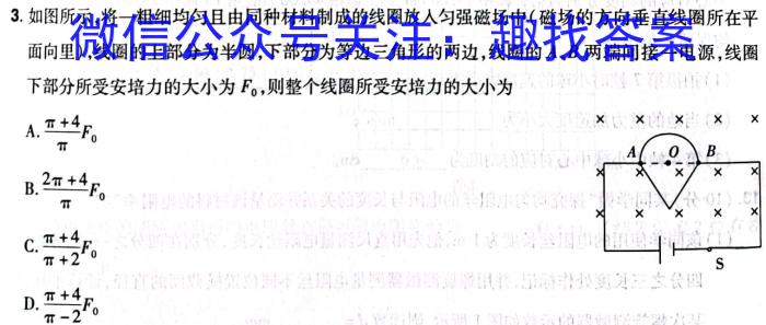 河南省2023年中招九年级适应性测试（二）.物理