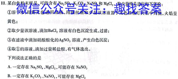 邵阳市二中2023年高一上学期期中考试化学