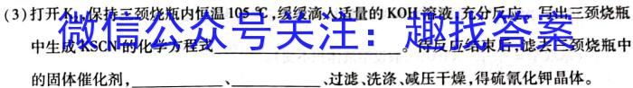 学普试卷 2023届高三第一次·信息调研版 新高考 (一)化学