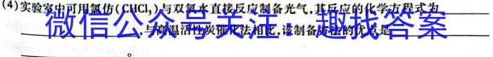 2023年九师联盟高三年级4月质量检测（X）化学