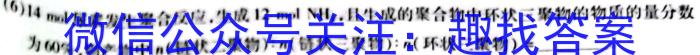 江西省九江市2023年初中学业水平考试复习试卷（二）化学